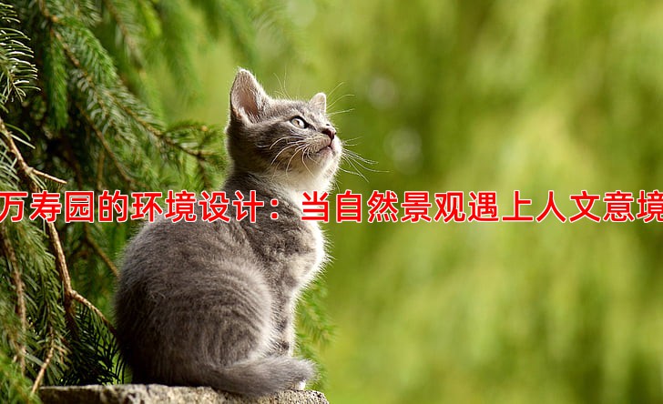 万寿园的环境设计：当自然景观遇上人文意境