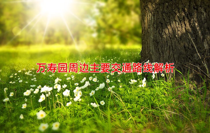 万寿园周边主要交通路线解析