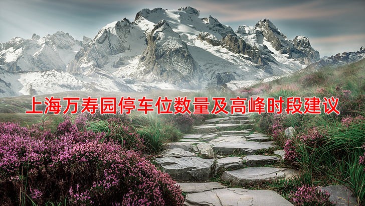 上海万寿园停车位数量及高峰时段建议