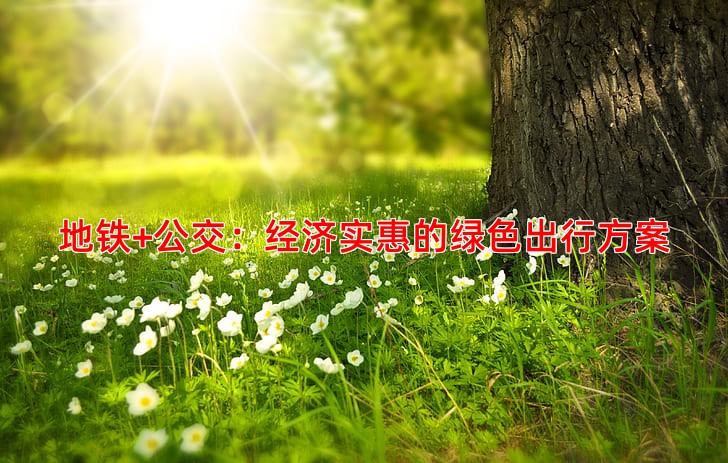 地铁+公交：经济实惠的绿色出行方案