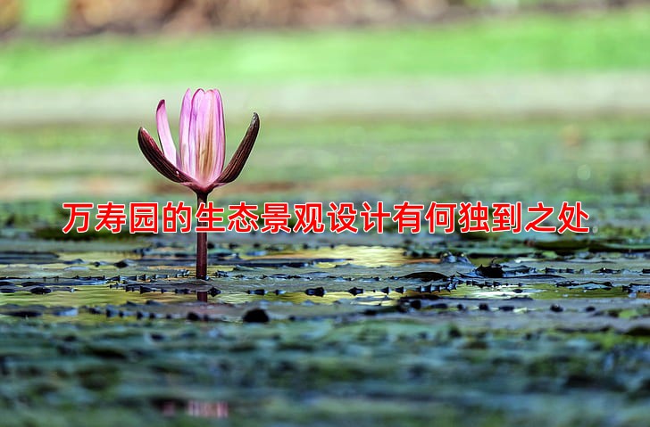 万寿园的生态景观设计有何独到之处
