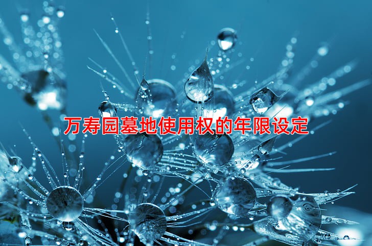 万寿园墓地使用权的年限设定