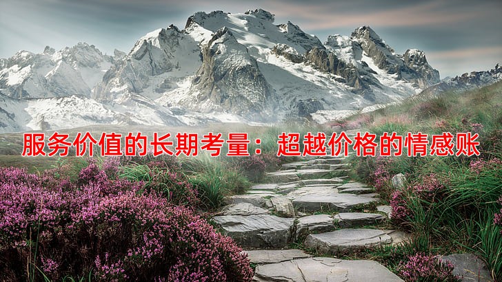 服务价值的长期考量：超越价格的情感账