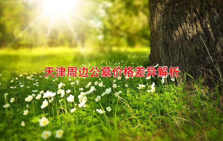 天津周边公墓价格差异解析