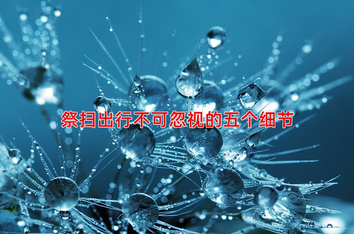 祭扫出行不可忽视的五个细节