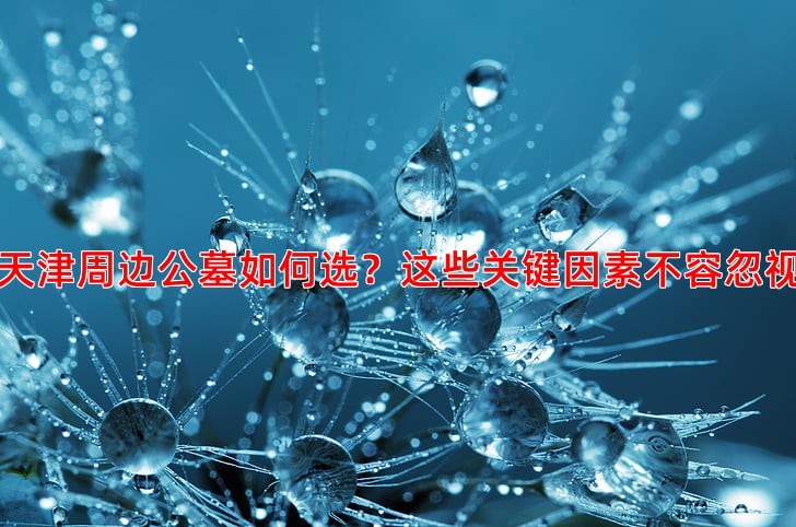 天津周边公墓如何选？这些关键因素不容忽视