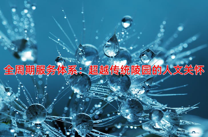 全周期服务体系：超越传统陵园的人文关怀