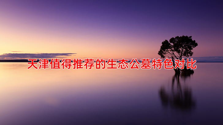 天津值得推荐的生态公墓特色对比