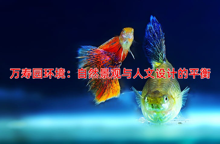 万寿园环境：自然景观与人文设计的平衡