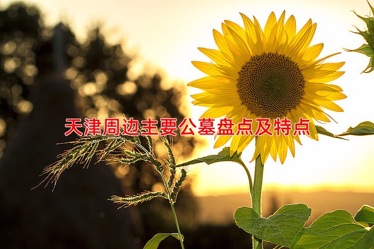 天津周边主要公墓盘点及特点