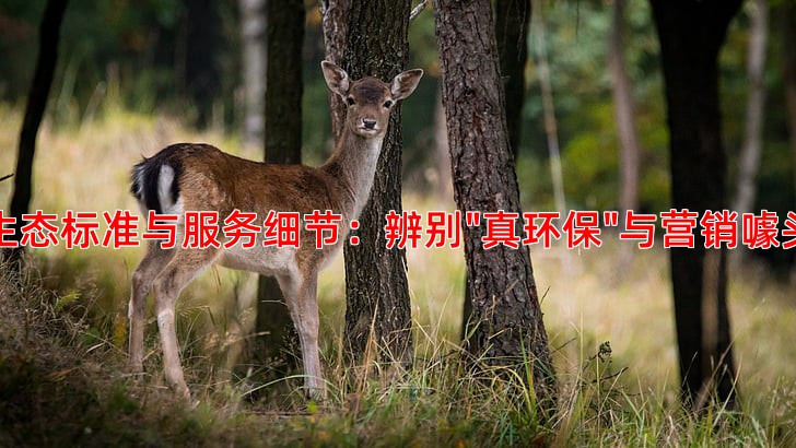 生态标准与服务细节：辨别"真环保"与营销噱头