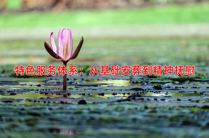 特色服务体系：从基础安葬到精神抚慰