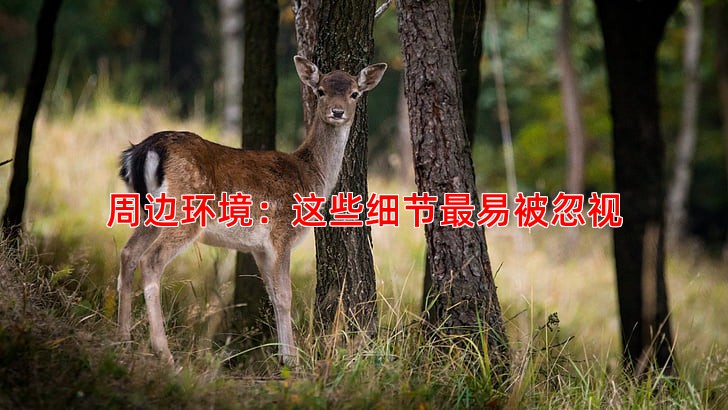 周边环境：这些细节易被忽视