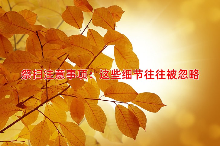 祭扫注意事项：这些细节往往被忽略