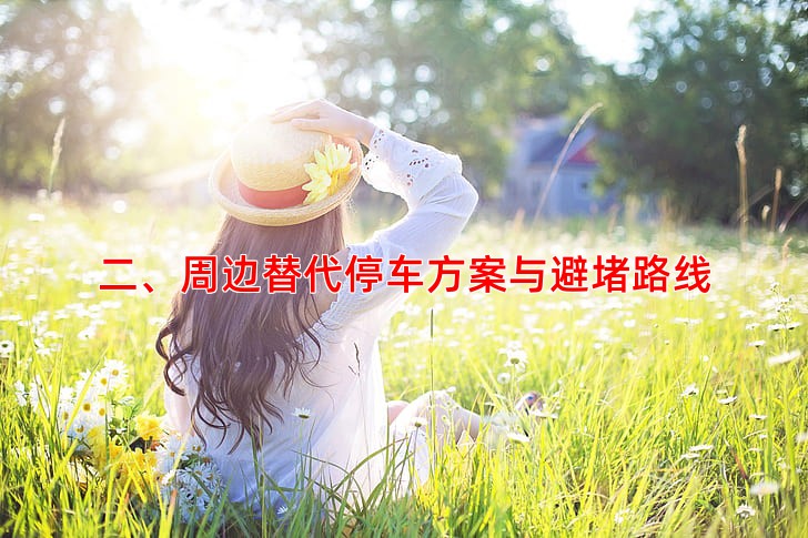 二、周边替代停车方案与避堵路线