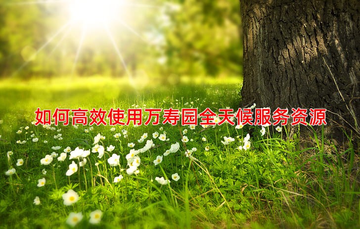如何高效使用万寿园全天候服务资源