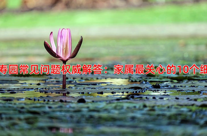 万寿园常见问题权威解答：家属关心的10个细节