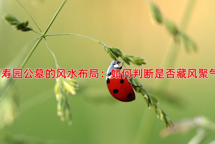 万寿园公墓的风水布局：如何判断是否藏风聚气？