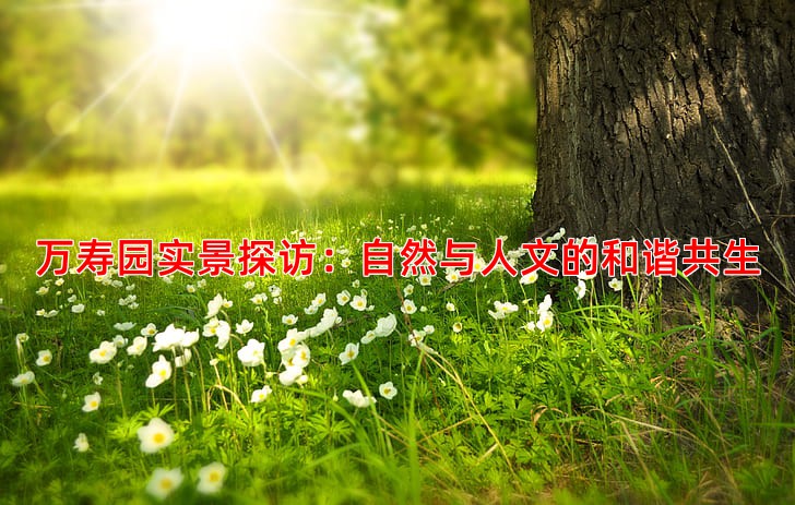 万寿园实景探访：自然与人文的和谐共生