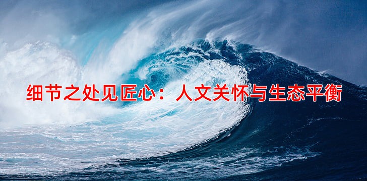 细节之处见匠心：人文关怀与生态平衡