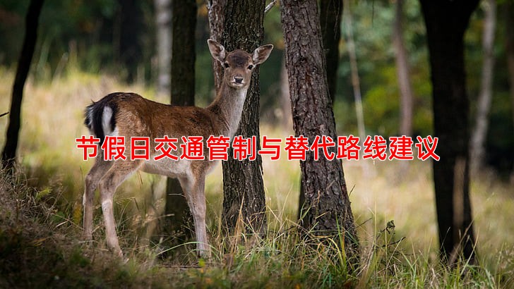 节假日交通管制与替代路线建议