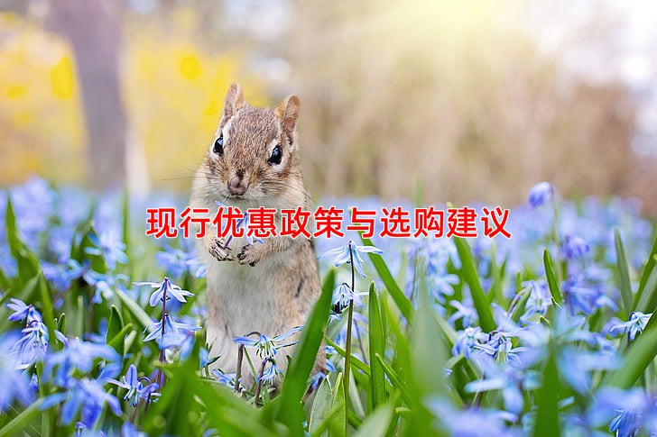 现行优惠政策与选购建议