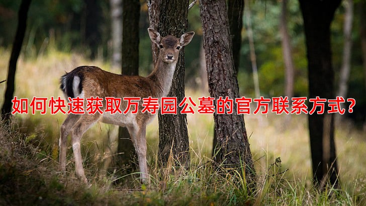 如何快速获取万寿园公墓的官方联系方式？