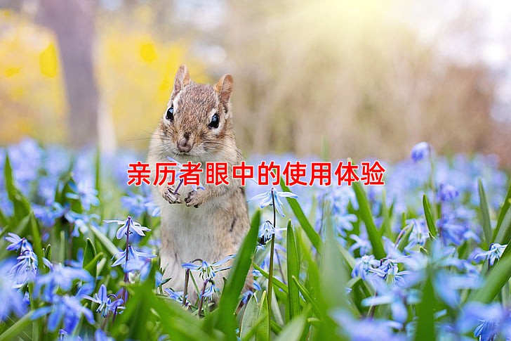 亲历者眼中的使用体验