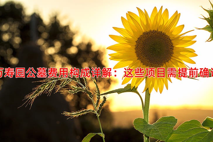 万寿园公墓费用构成详解：这些项目需提前确认