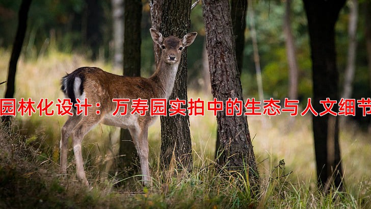 园林化设计：万寿园实拍中的生态与人文细节