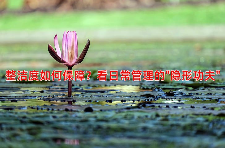 整洁度如何保障？看日常管理的"隐形功夫"