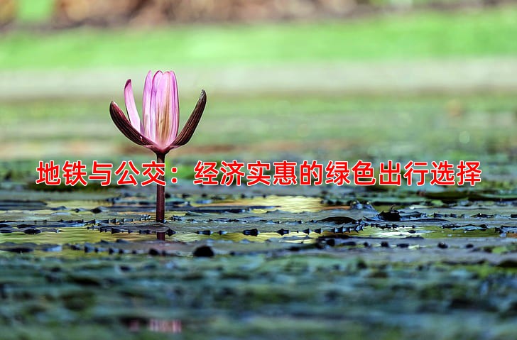 地铁与公交：经济实惠的绿色出行选择