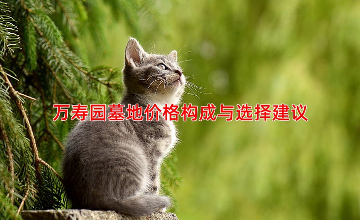 万寿园墓地价格构成与选择建议