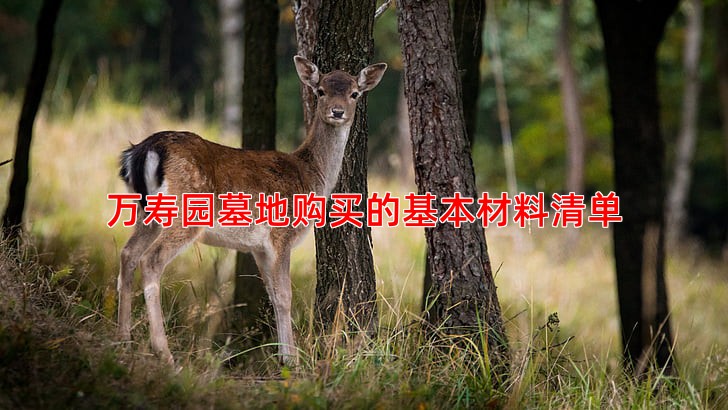 万寿园墓地购买的基本材料清单