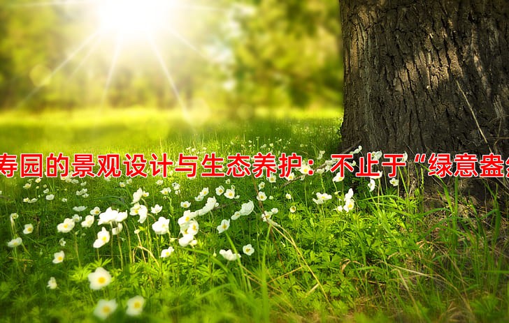 万寿园的景观设计与生态养护：不止于“绿意盎然”