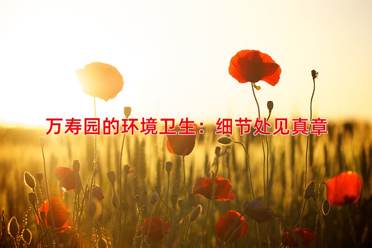 万寿园的环境卫生：细节处见真章