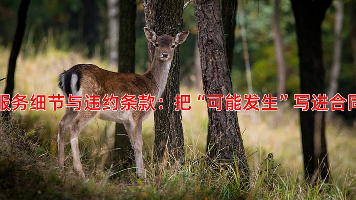 服务细节与违约条款：把“可能发生”写进合同