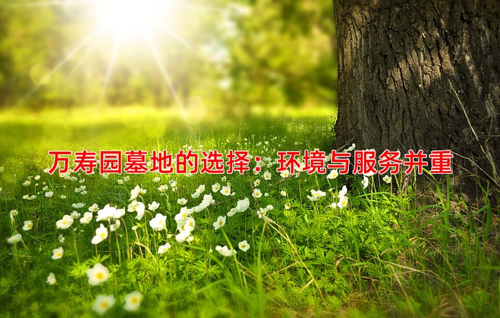 万寿园墓地的选择：环境与服务并重