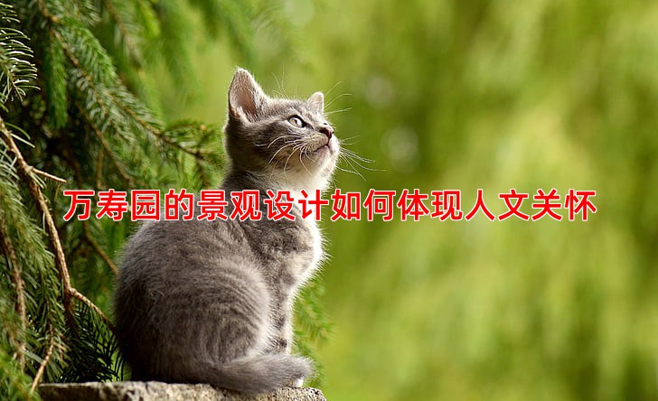 万寿园的景观设计如何体现人文关怀