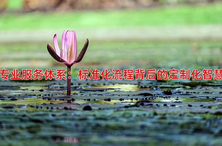 专业服务体系：标准化流程背后的定制化智慧
