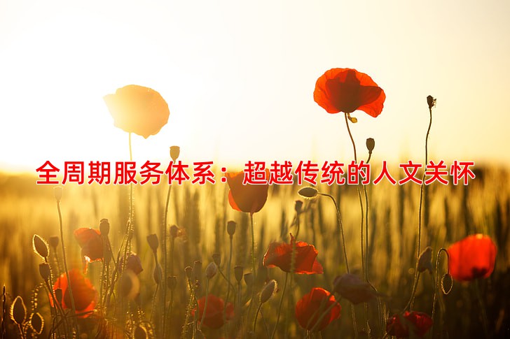 全周期服务体系：超越传统的人文关怀