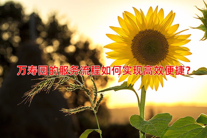 万寿园的服务流程如何实现高效便捷？