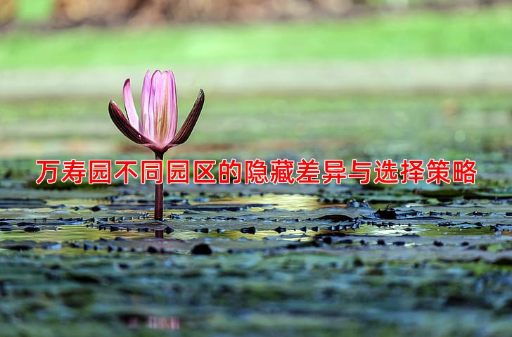 万寿园不同园区的隐藏差异与选择策略