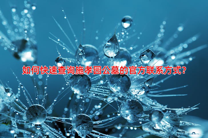 如何快速查询施孝园公墓的官方联系方式？