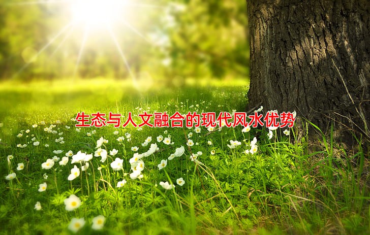 生态与人文融合的现代风水优势