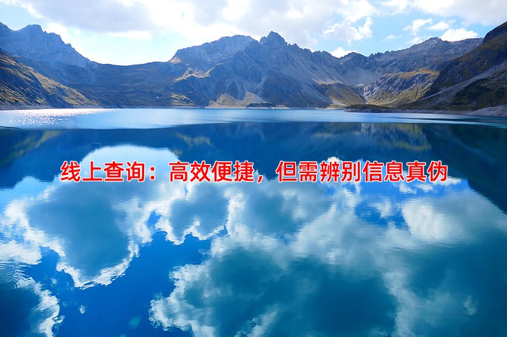 线上查询：高效便捷，但需辨别信息真伪