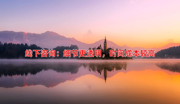 线下咨询：细节更透明，时间成本较高
