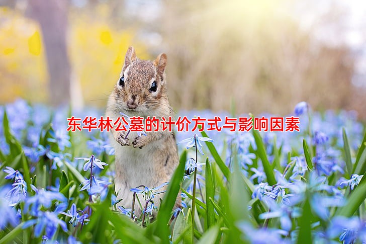 东华林公墓的计价方式与影响因素
