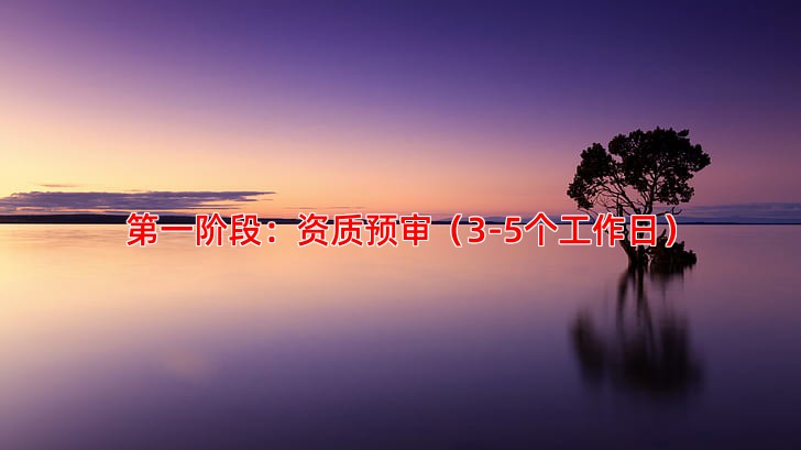 第一阶段：资质预审（3-5个工作日）