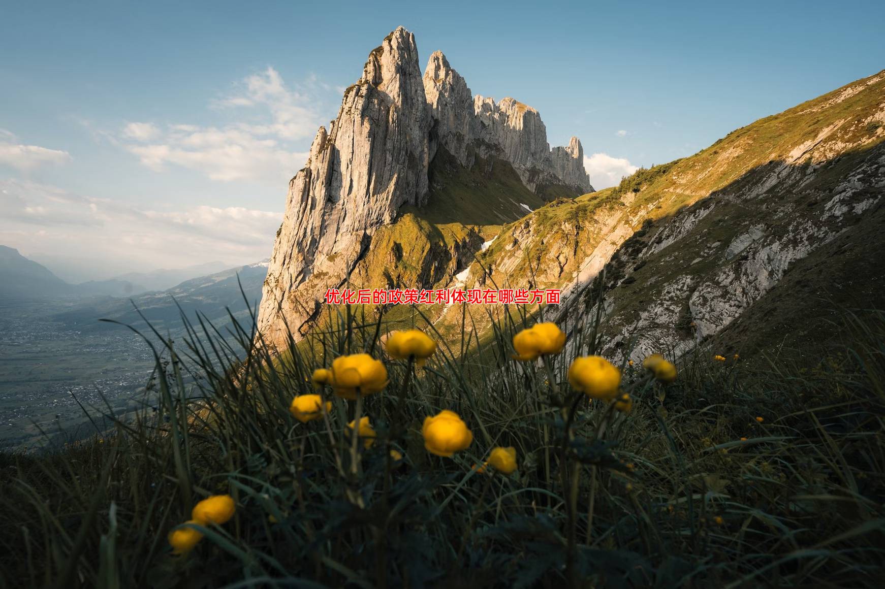 优化后的政策红利体现在哪些方面